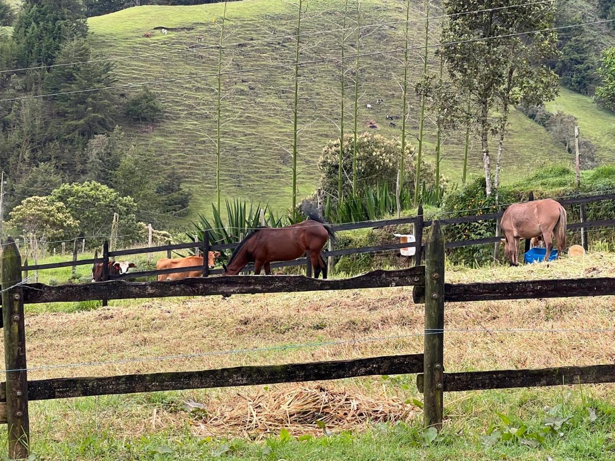 El Retiro Antioquia La Isabelita Villa Exterior foto